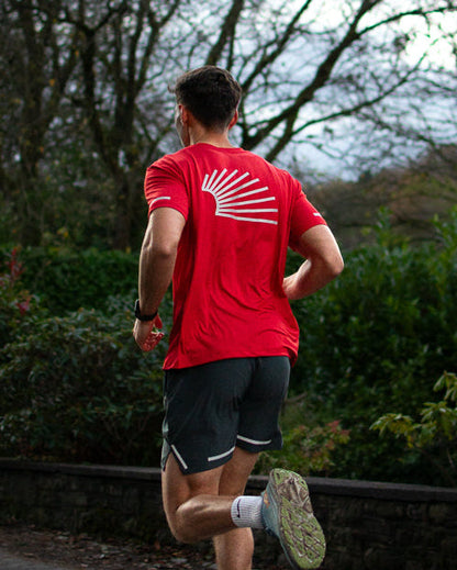 Men's SOLIS Ray T-Shirt